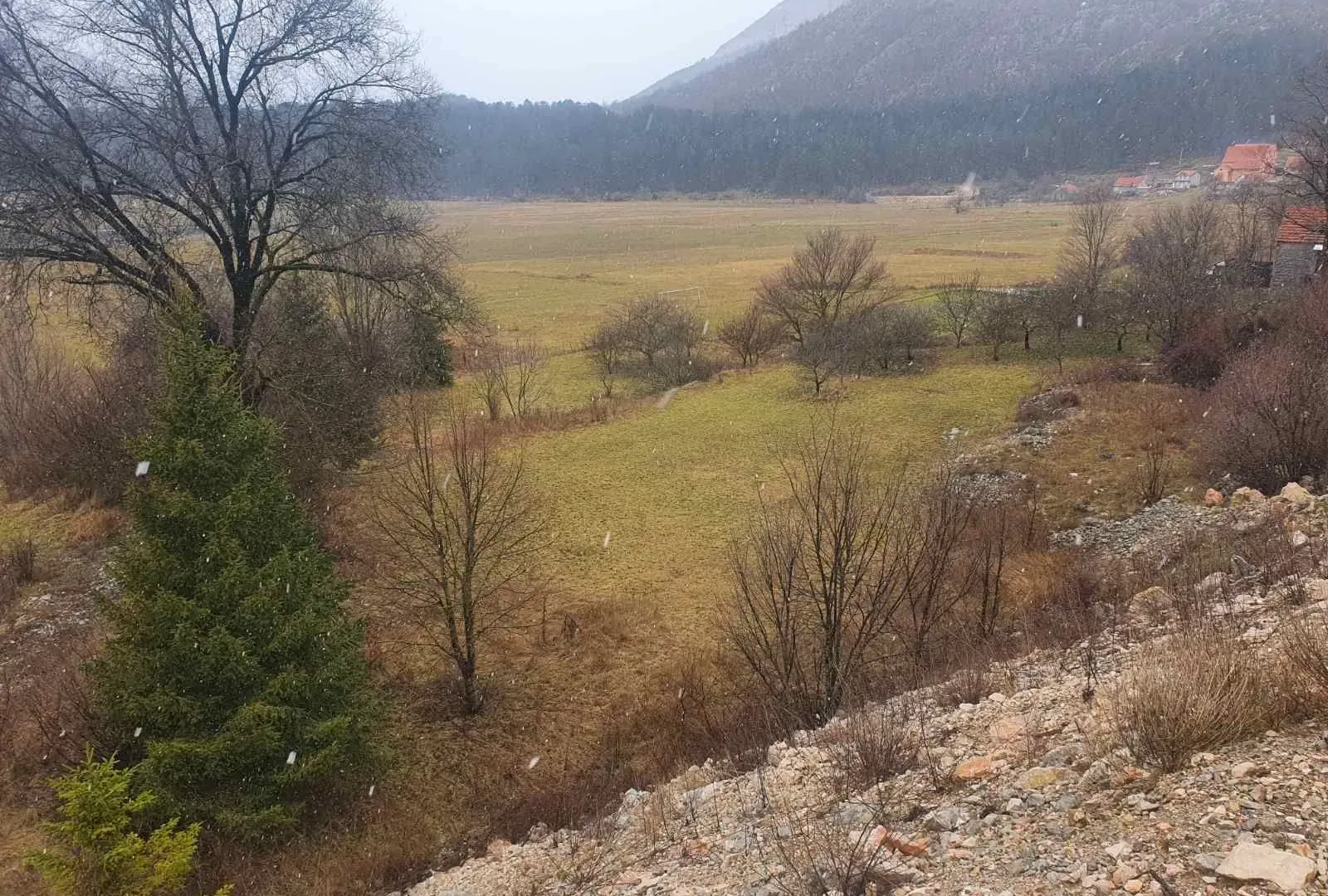 Prodaja, plac, 6000m², Cetinje, Crna Gora
