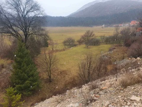 Prodaja, plac, 6000m², Cetinje, Crna Gora - image 6