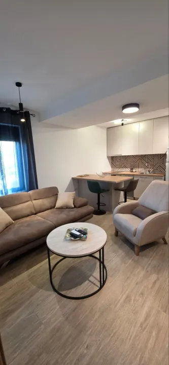 Rent, one bedroom apartment, 45m², Vezirov Most, Podgorica
