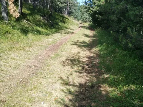 Prodaja, plac, 7000m², Mokra gora, Tara - image 10