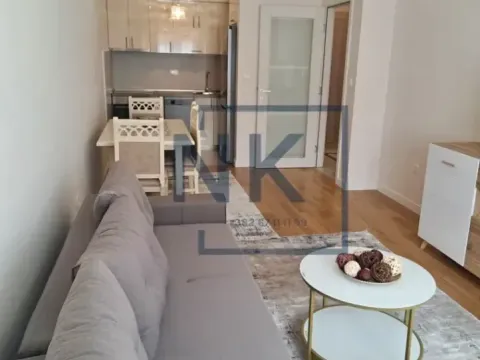 Izdavanje, jednosoban stan, 46m², Central Point, Podgorica - image 3