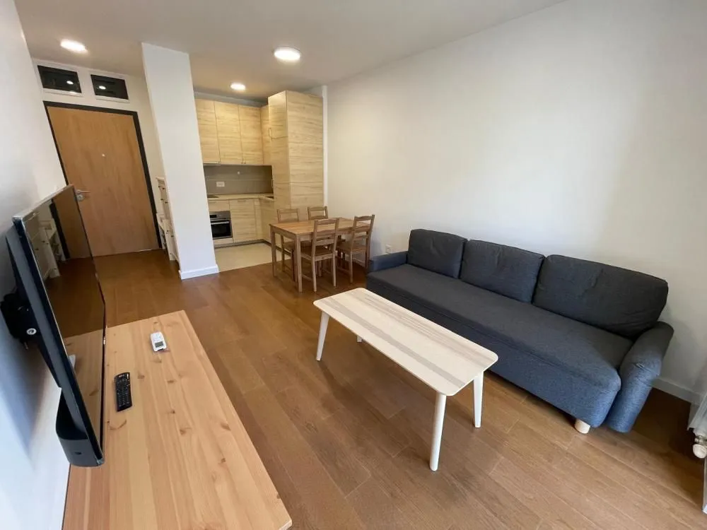 Rent, one bedroom apartment, 39m², Tošin bunar, Novi Beograd Sve Podlokacije