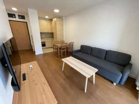 Rent, one bedroom apartment, 39m², Tošin bunar, Novi Beograd Sve Podlokacije - image 2