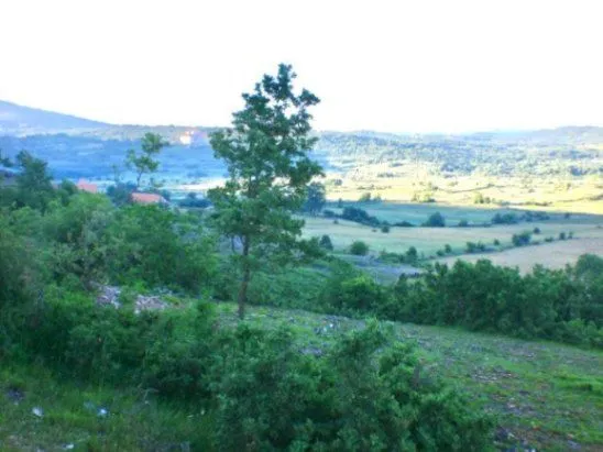Prodaja, plac, 16106m², Velimlje, Nikšić