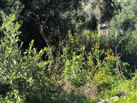 Prodaja, plac, 919m², Bigova, Kotor - image 3