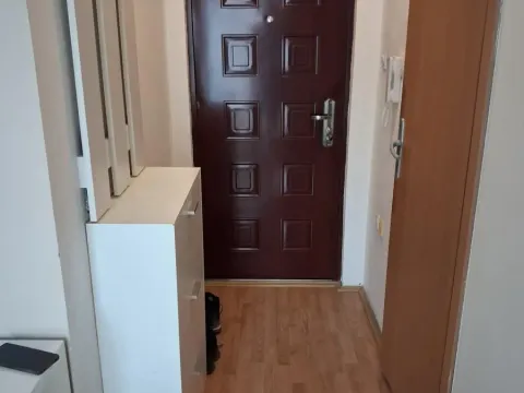 Sale, one bedroom apartment, 31m², Bulevar patrijarha Pavla, Novi Sad Sve Podlokacije - image 5