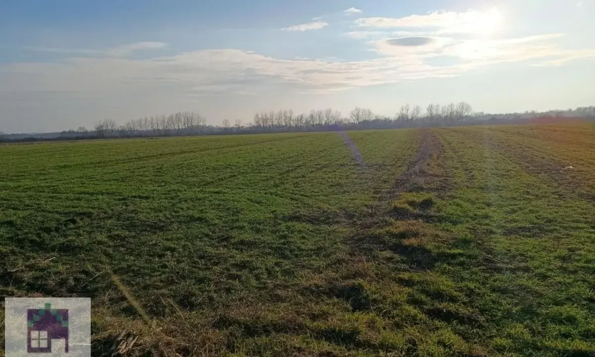 Prodaja, plac, 14800m², Obrenovac, Beograd