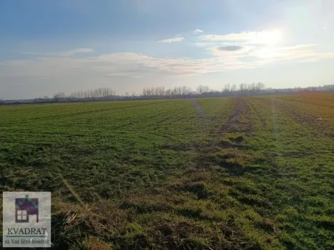 Zemljište in Obrenovac