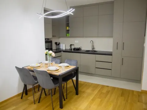 Izdavanje, jednosoban stan, 48m², New City, Podgorica - image 2