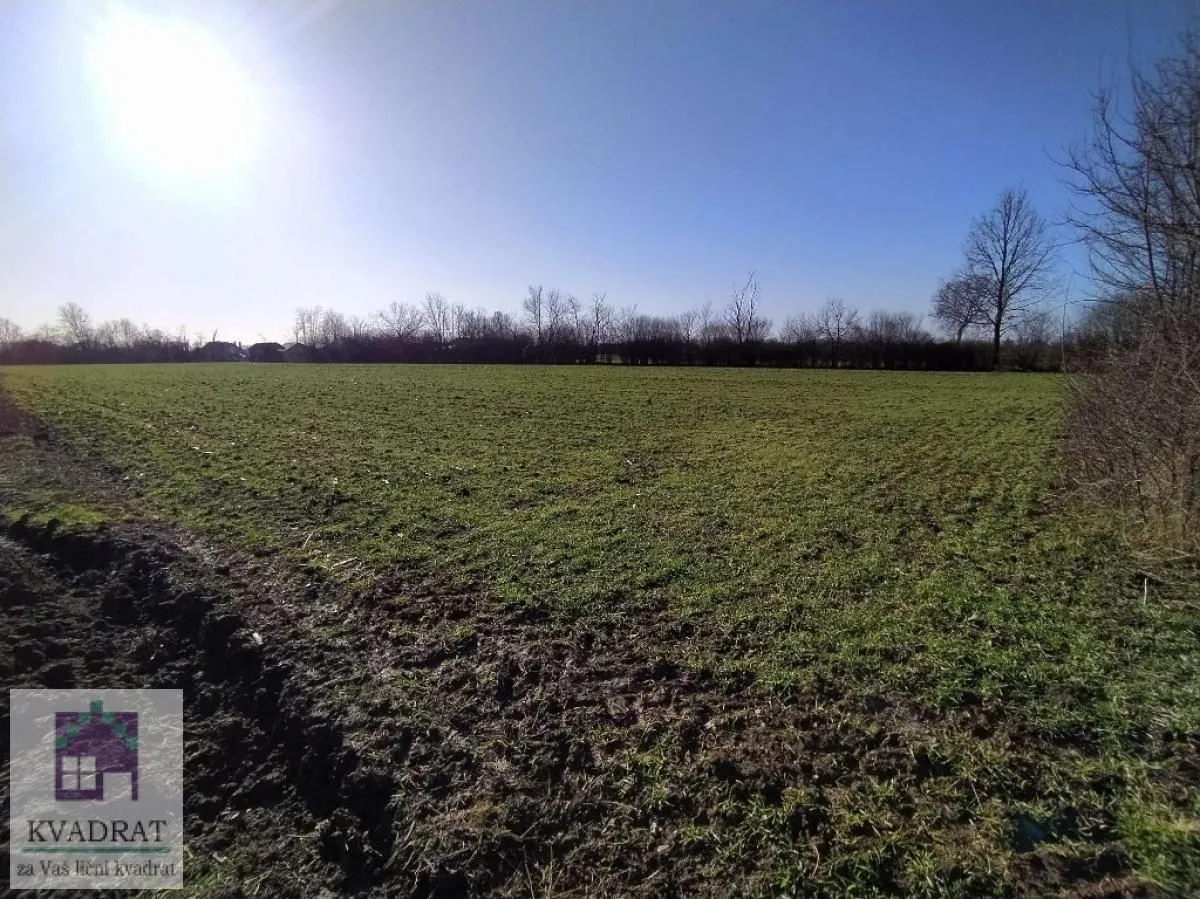 Prodaja, plac, 13000m², Piroman, Obrenovac