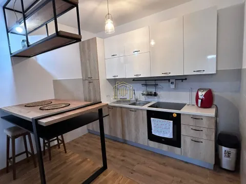 Rent, one bedroom apartment, 42m², Zabjelo, Podgorica - image 6