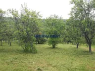 Prodaja, plac, Voždovac Sve Podlokacije, Beograd - image 2