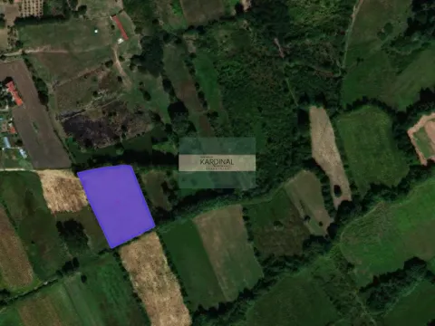 Prodaja, plac, 26939m², Kragujevac, Srbija - image 2