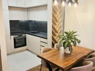 Izdavanje, jednosoban stan, 46m², Stari Aerodrom, Podgorica - image 1