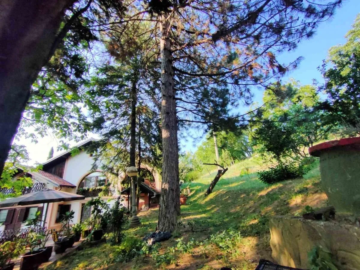Prodaja, kuća, 250m², Sremska Kamenica, Petrovaradin