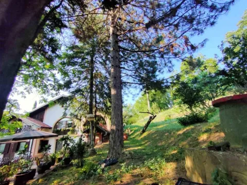 Prodaja, kuća, 250m², Sremska Kamenica, Petrovaradin - image 5