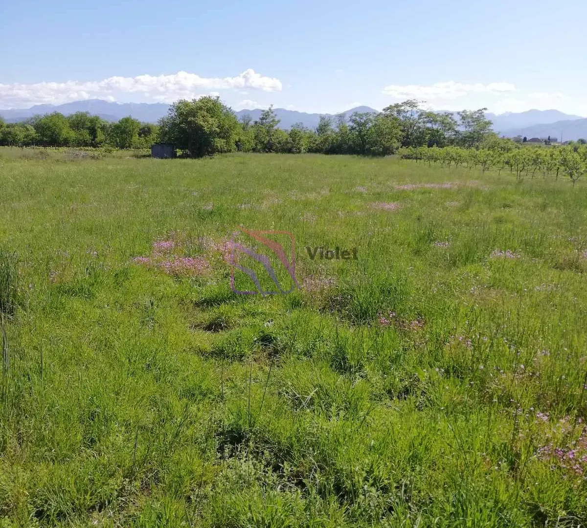 Prodaja, plac, 1850m², Farmaci, Podgorica