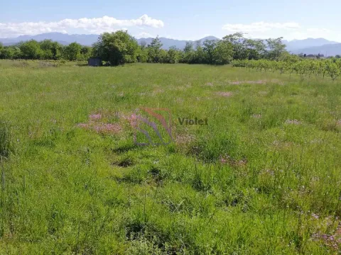 Prodaja, plac, 1850m², Farmaci, Podgorica - image 3
