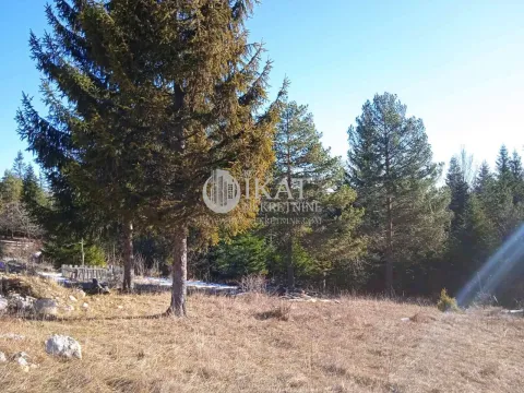 Sale, land lot, 1100m², Tara, Srbija - image 12