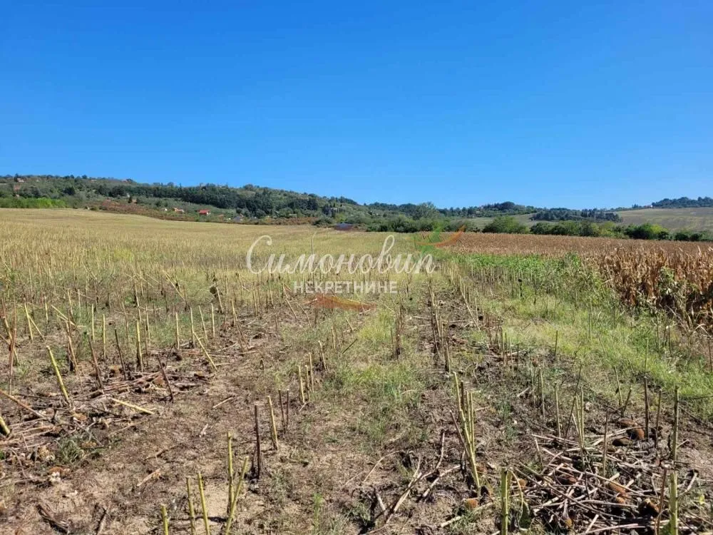 Prodaja, plac, 15000m², Ritopek, Grocka
