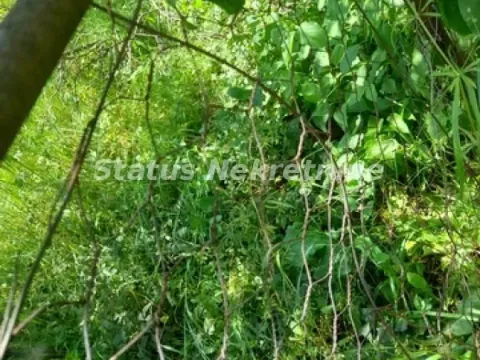 Prodaja, plac, 2100m², Inđija, Srbija - image 19