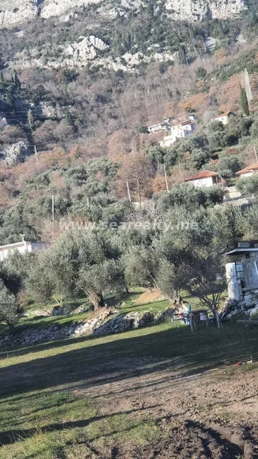 Sale, house, 500m², Buljarica, Budva