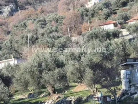 Sale, house, 500m², Buljarica, Budva - image 8