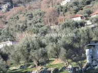 Sale, house, 500m², Buljarica, Budva - image 8