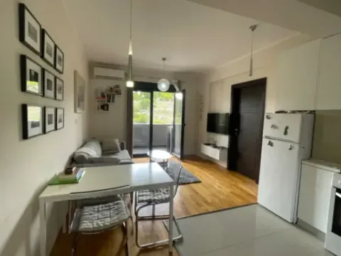 Izdavanje, jednosoban stan, 45m², Centar, Podgorica - image 3