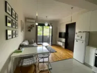 Izdavanje, jednosoban stan, 45m², Centar, Podgorica - image 3