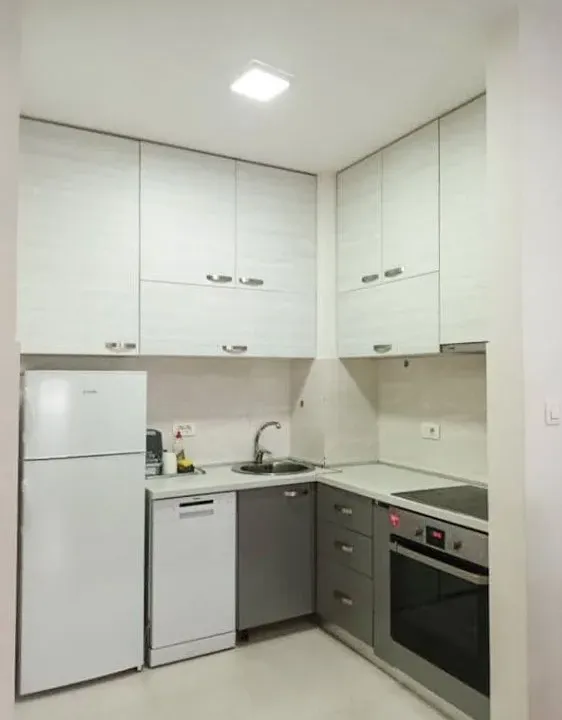 Izdavanje, jednosoban stan, 45m², Central Point, Podgorica