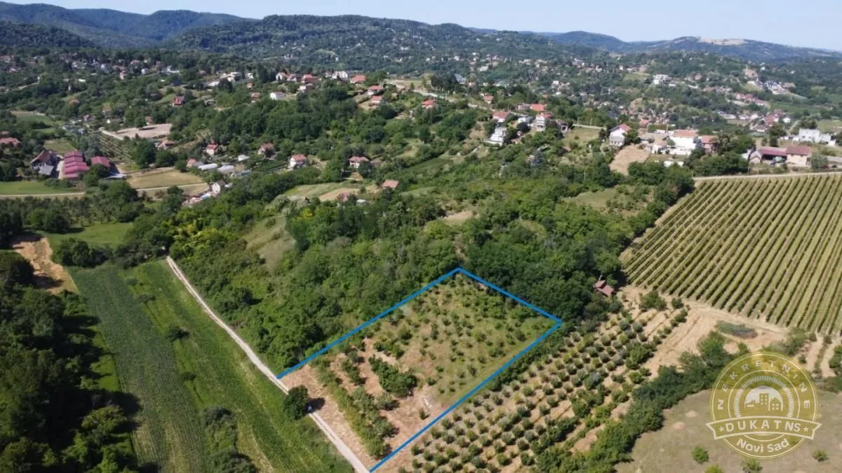 Prodaja, plac, 3500m², Sremska Kamenica, Petrovaradin