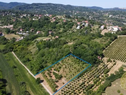 Sale, land lot, 3500m², Sremska Kamenica, Petrovaradin - image 2
