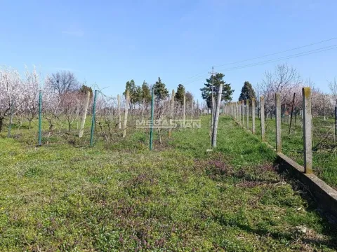 Sale, land lot, 4306m², Čukarica, Beograd - image 3