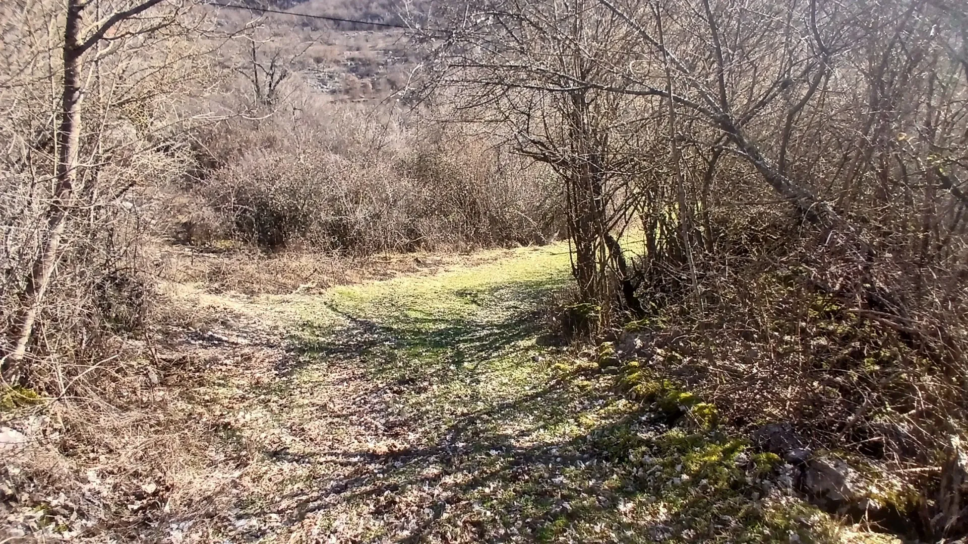 Prodaja, plac, 6256m², Čevo, Cetinje