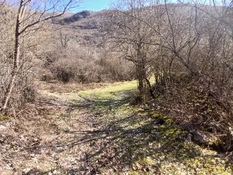 Prodaja, plac, 6256m², Čevo, Cetinje - image 15