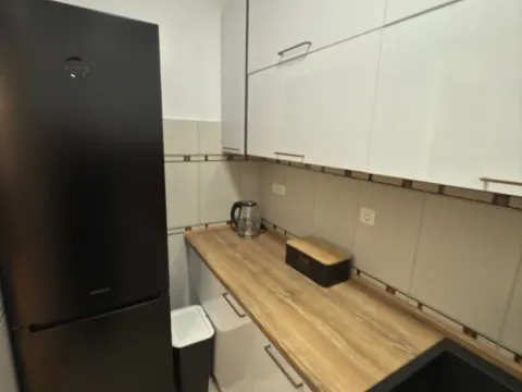 Izdavanje, jednosoban stan, 55m², Centar, Podgorica - image 5