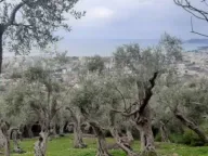 Prodaja, plac, 1604m², Velembusi, Bar - image 2