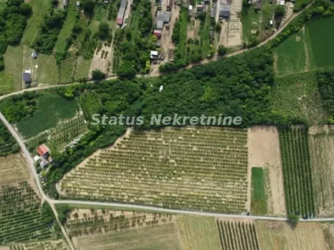 Sale, land lot, 237m², Irig, Srbija