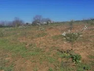 Prodaja, plac, 7100m², Umčari, Grocka - image 10