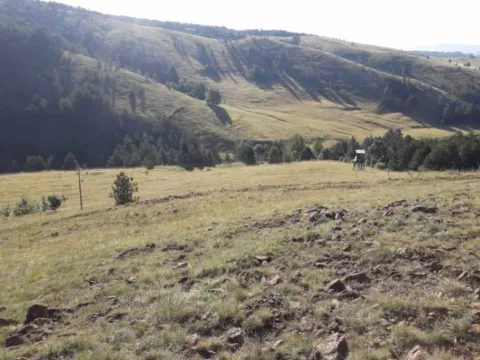 Prodaja, plac, 10000m², Tometino Polje, Požega - image 5