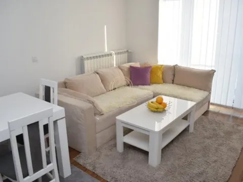 Rent, two bedroom apartment, 41m², Lion, Zvezdara Sve Podlokacije - image 7