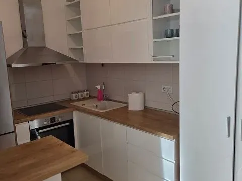 Izdavanje, dvosoban stan, 55m², Zvezdara Sve Podlokacije, Beograd - image 4