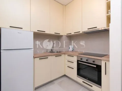 Izdavanje, jednosoban stan, 39m², Central Point, Podgorica - image 7
