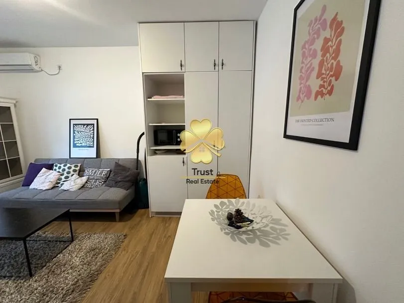 Rent, studio apartment, 20m², Preko Morače, Podgorica