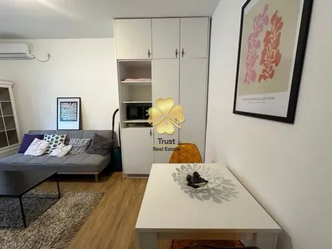 Izdavanje, garsonjera, 20m², Preko Morače, Podgorica - image 6