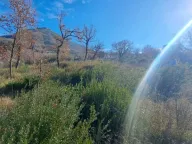 Prodaja,  zemljište, 1000m2, Župci, Bar