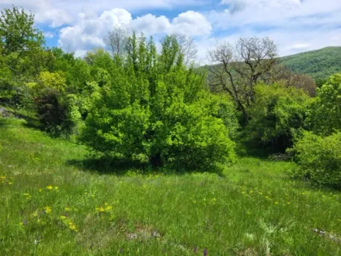 Prodaja, plac, 160000m², Bršno, Nikšić - image 11