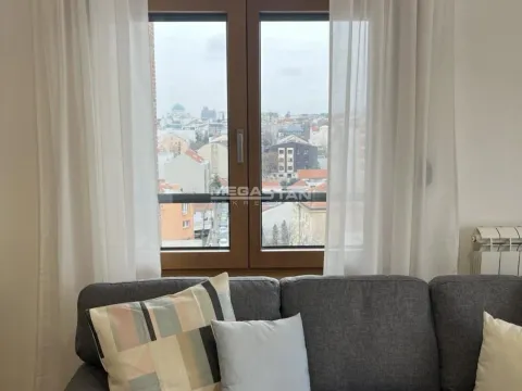Rent, one bedroom apartment, 43m², Južni Bulevar, Vračar Sve Podlokacije - image 3