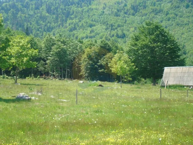 Prodaja, plac, 105000m², Plužine, Crna Gora